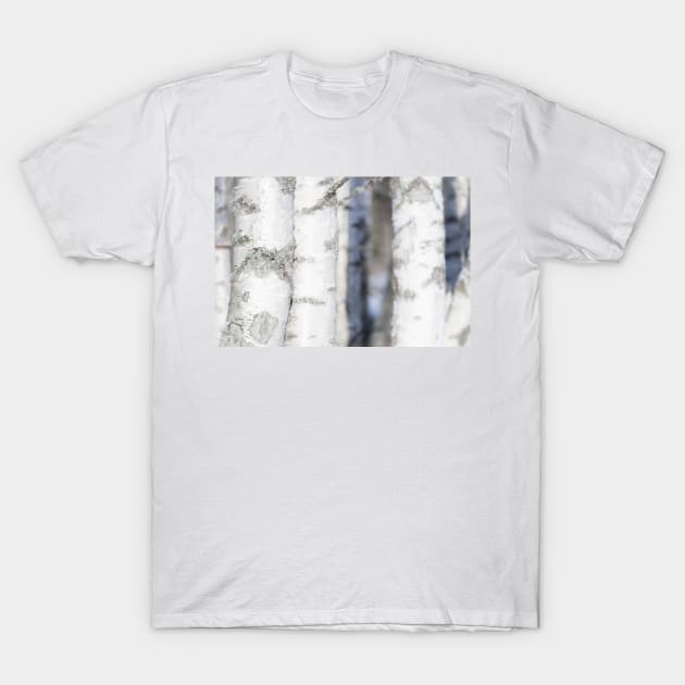 Birch T-Shirt by ansaharju